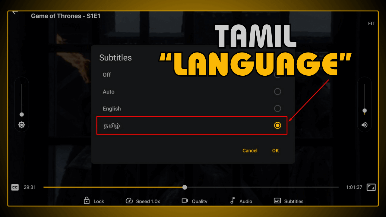 Tamil Audio and Subtitles
